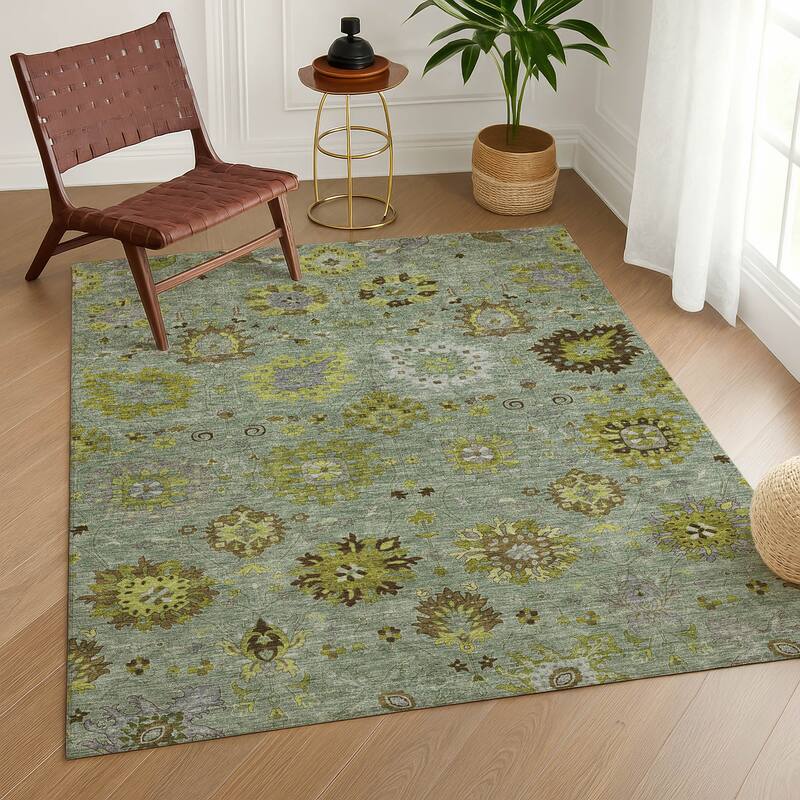 Machine Washable Indoor/ Outdoor Vintage Traditional Chantille Rug