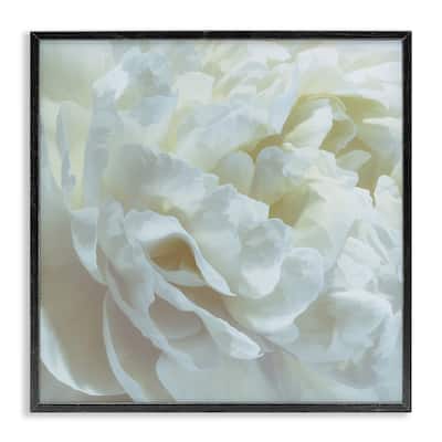Stupell Elegant White Petals Framed Giclee Art Design By David Pollard