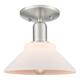 Option Brushed Satin Nickel / Matte White