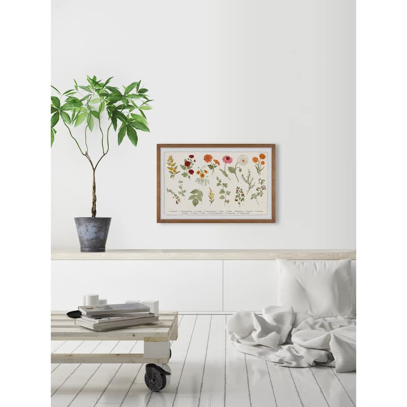 Wild Rose Framed Print
