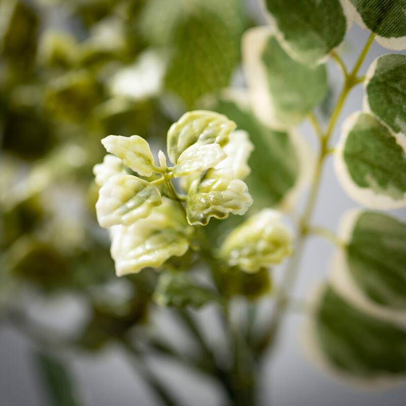 Sullivans Foliage Botanical Pick; Green