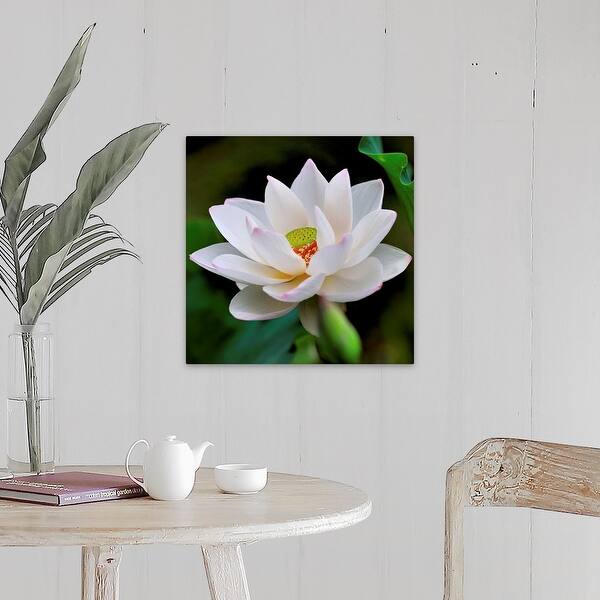 Shop Close Up Of Lotus Canvas Wall Art Overstock 16483701
