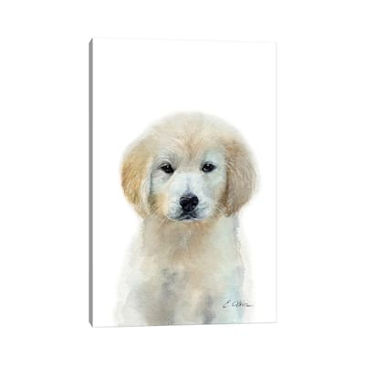 iCanvas "White Golden Retriever Puppy" by Watercolor Luv Canvas Print