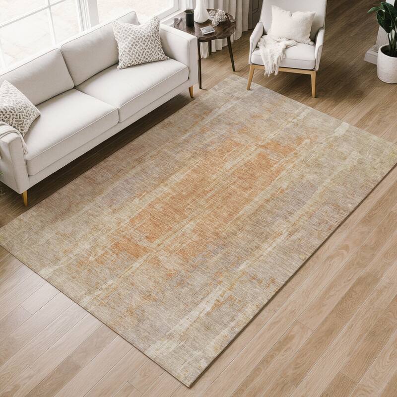 Machine Washable Indoor/ Outdoor Vintage Ombre Chantille Rug