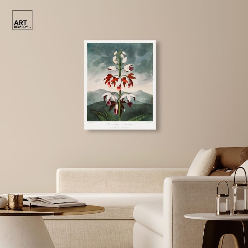 The China Limodoron 1807 Canvas by Art Remedy, Gallery Wrapped