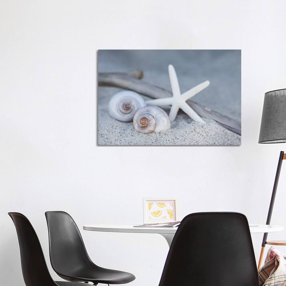 iCanvas "Starfish Beach Still" by Andrea Haase Canvas Print