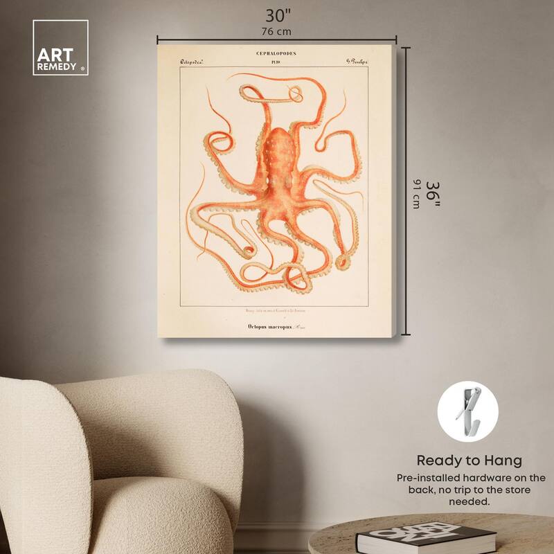 Verany The Octopus 1815 I Canvas by Art Remedy, Gallery Wrapped
