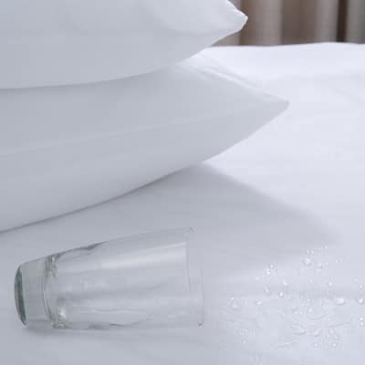 Home Details Queen Size Premium Zippered Mattress Protector