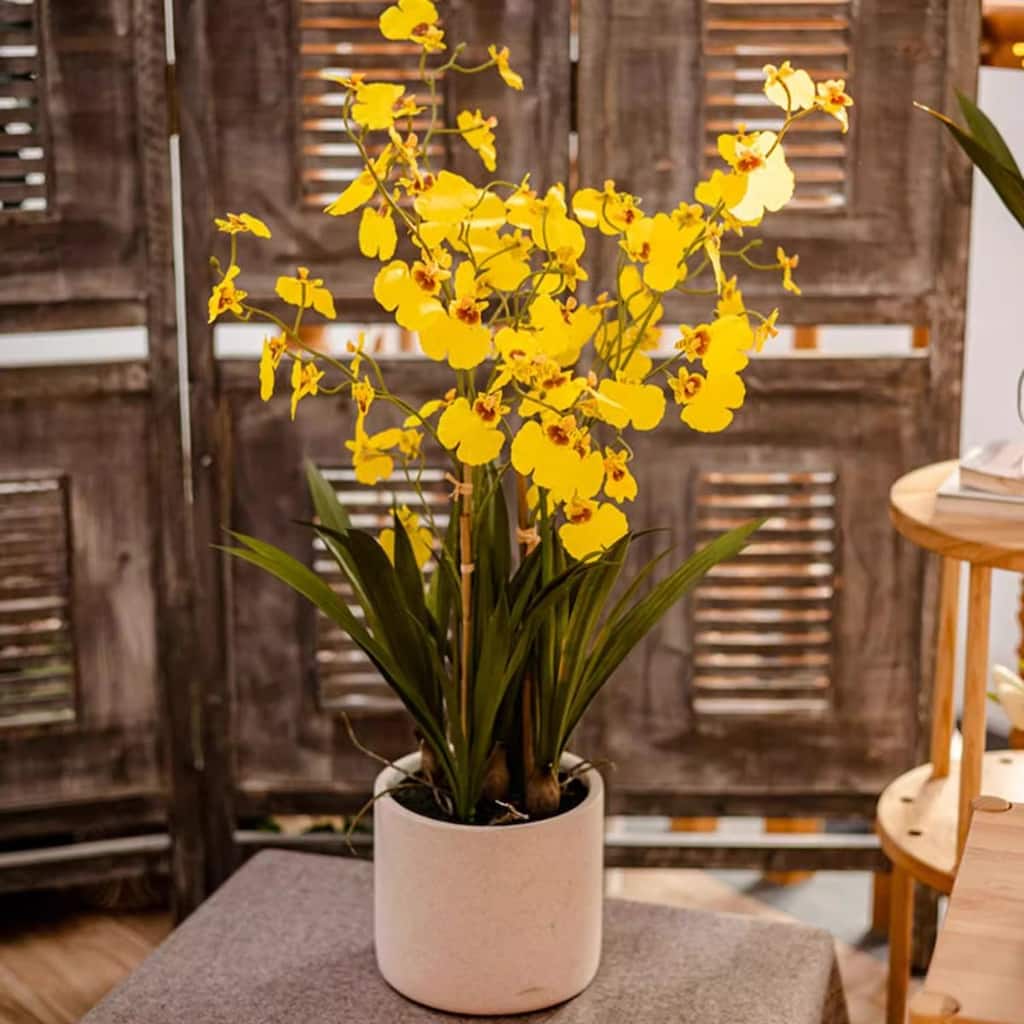 RusticReach Potted Faux Dancing Lady Orchid