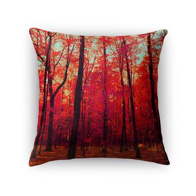 Kavka Designs red/ blue/ brown the true north accent pillow with insert