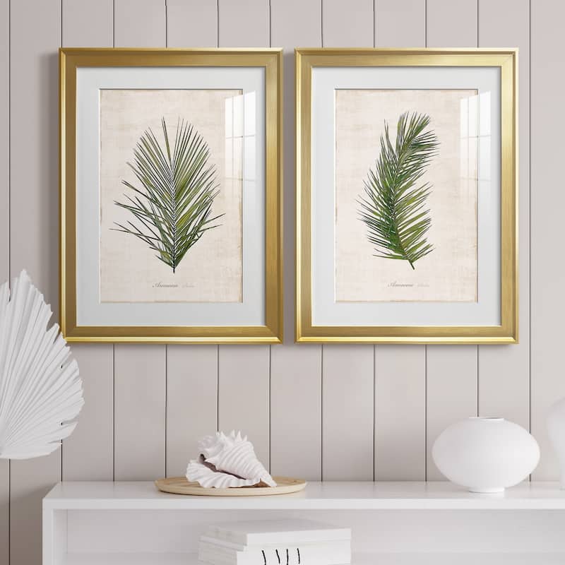 Palm Botanical I Premium Framed Print - Ready to Hang
