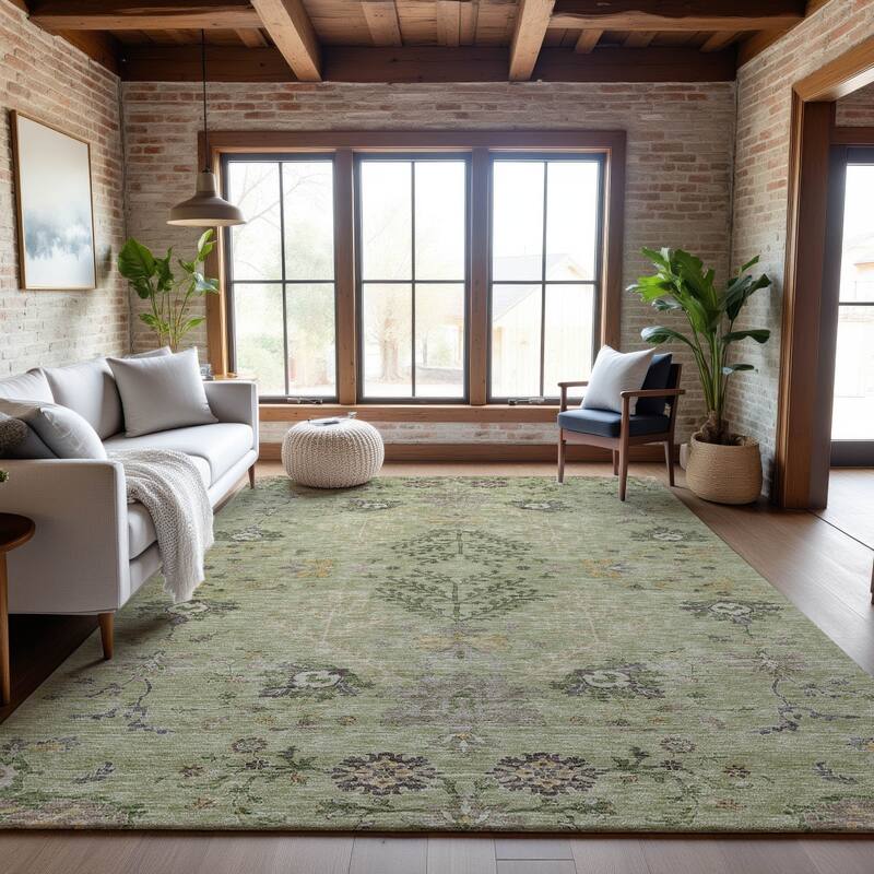 Premium Washable Super Soft Traditional Ozark Mayfield Rug - Aloe - 2'6" x 3'10"