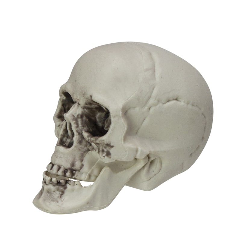 Skeleton Skull Halloween Decorations - 3.5" - Pack of 6