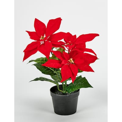 14" Potted Poinsettia