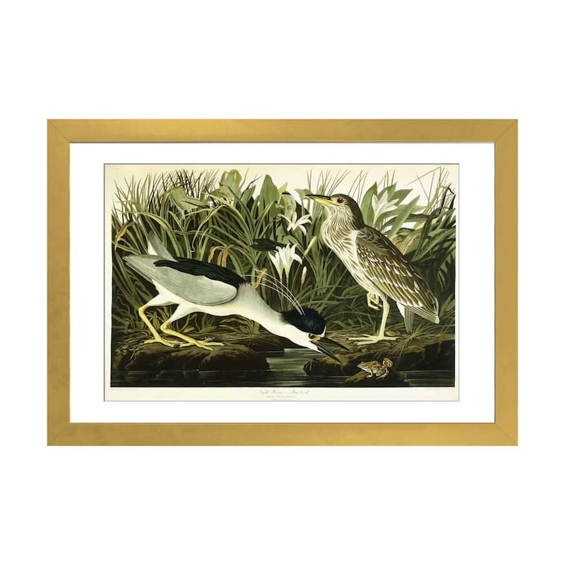iCanvas "Night Heron or Lua Bird, 1835 " by John James Audubon - Gold - 24x32x1