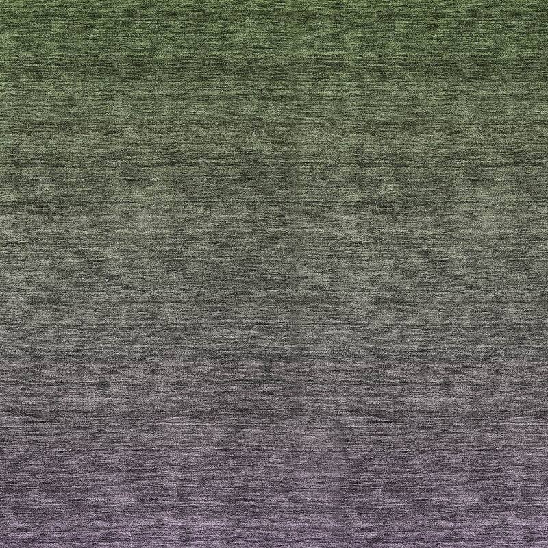 HomeRoots Ombre Transitional Rectangle Outdoor Rug