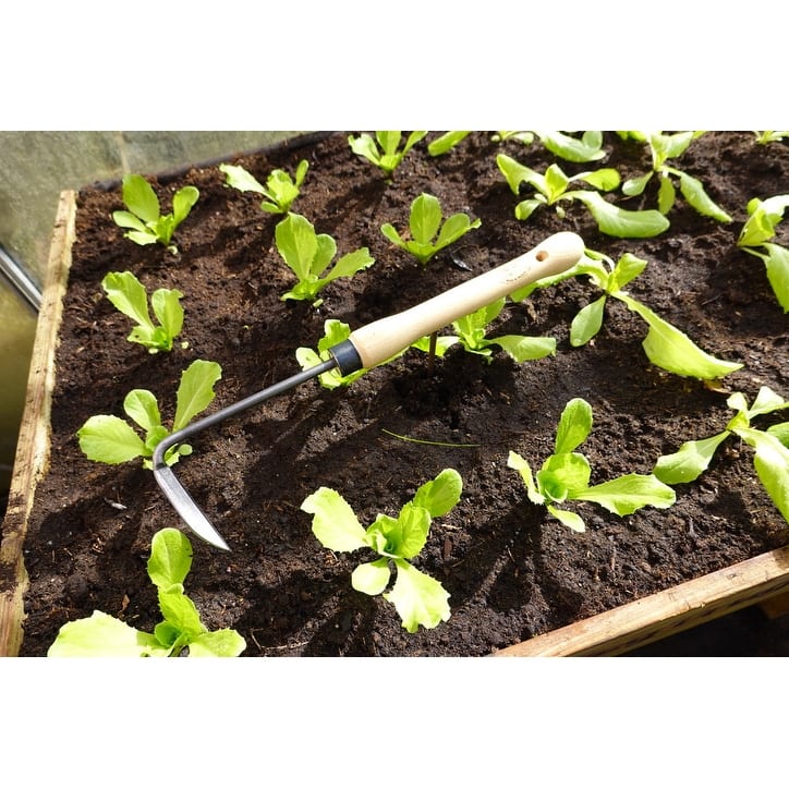 DeWit Gardening Weeder with Midsize 10" Handle - 16"L