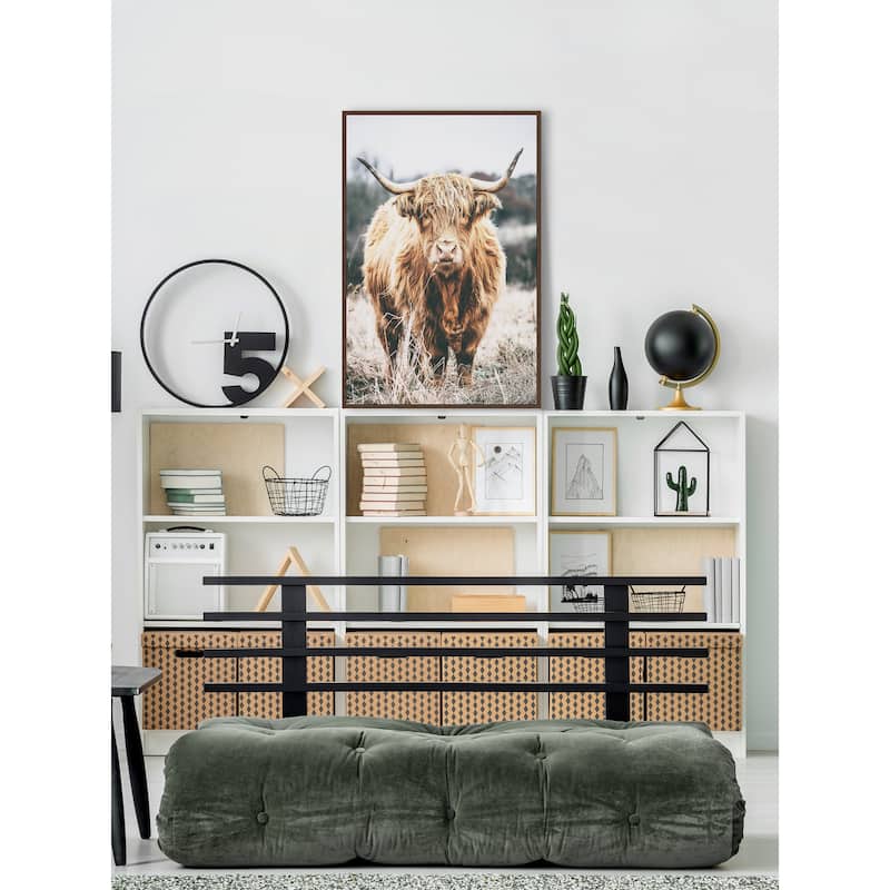 Scottish Highland Cattle Floater Framed Print on Canvas