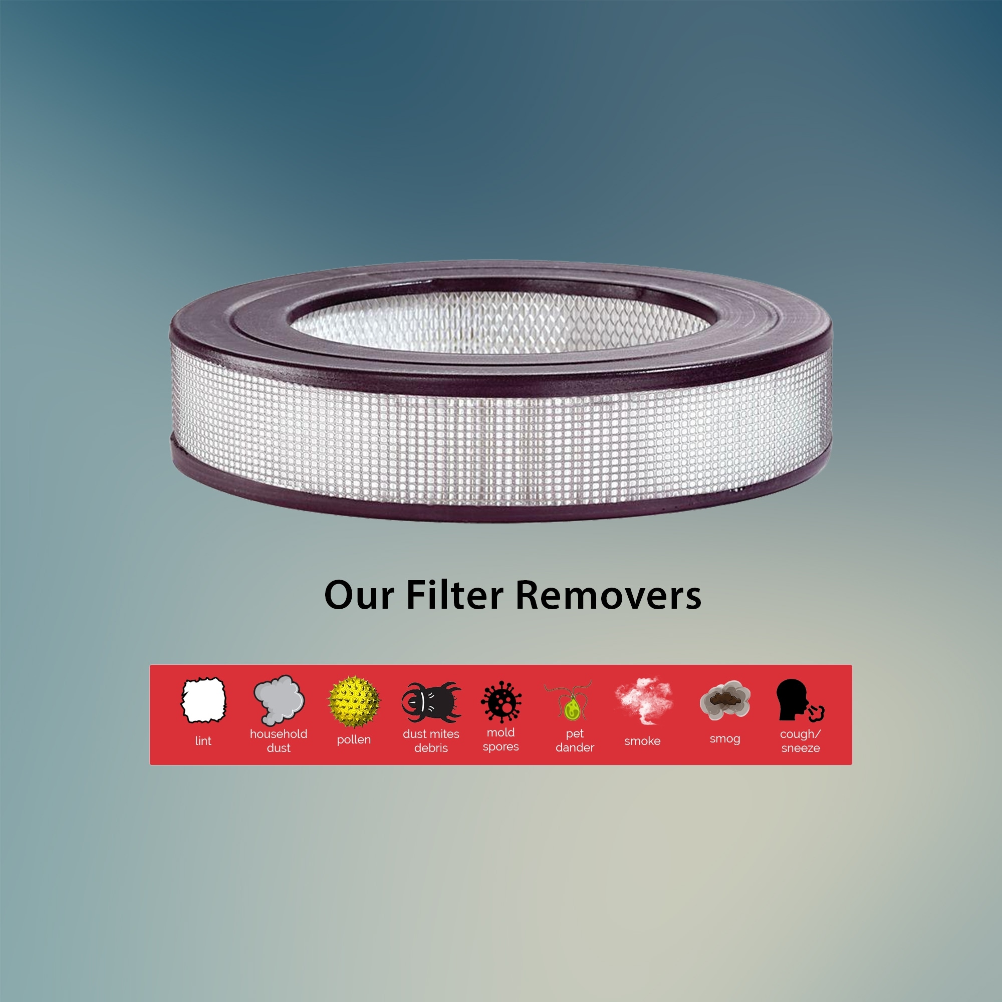 Honeywell 12520 replacement shop filter