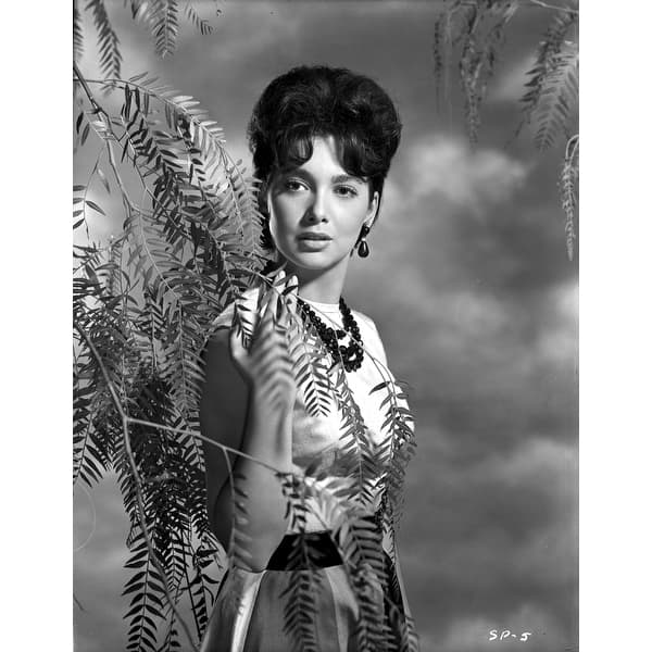 Suzanne Pleshette wearing a Dress and posed with Ferns Photo Print