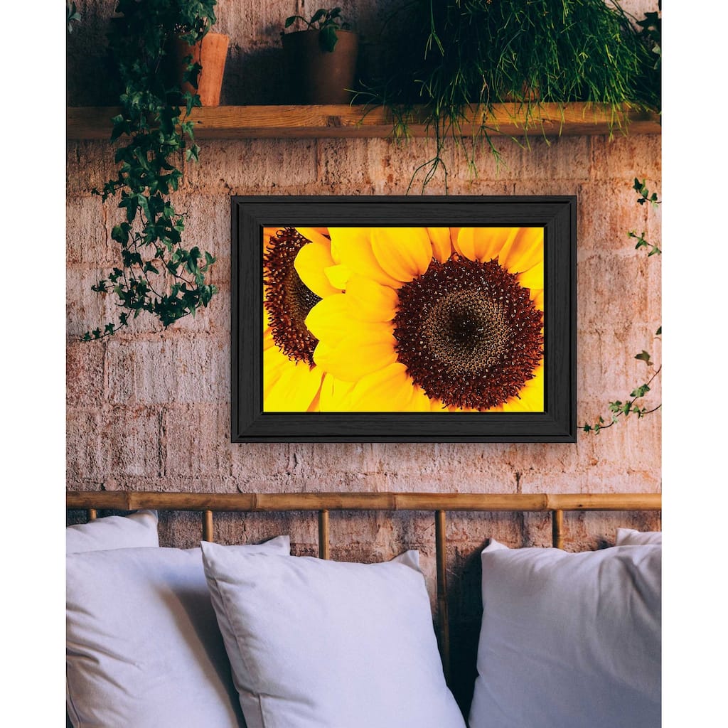 TrendyDecor4U Contemporary "Sunflower Portrait" Framed Print Wall Art
