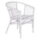preview thumbnail 6 of 14, SAFAVIEH Adriana Rattan Accent Chairs (Set of 2) - 22.8" W x 23.6" L x 30.3" H