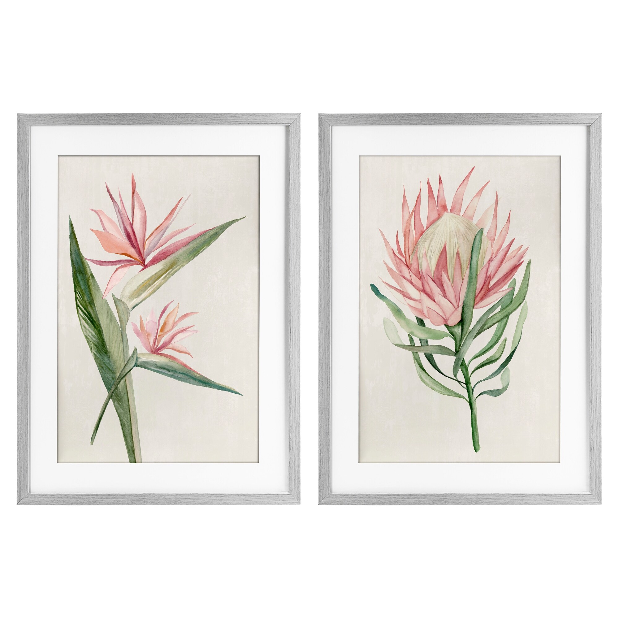 Stupell Tropical Grace Botanicals Under Glass Framed Design By Hannah Dawson (Set of 2)