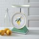 Food Scales
