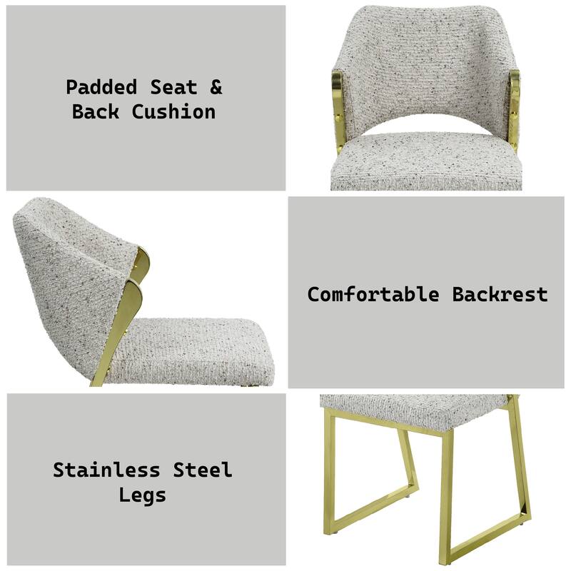 Galdesa Teddy Sherpa & Mirrored Gold Finish Side Chair (Set of 2)