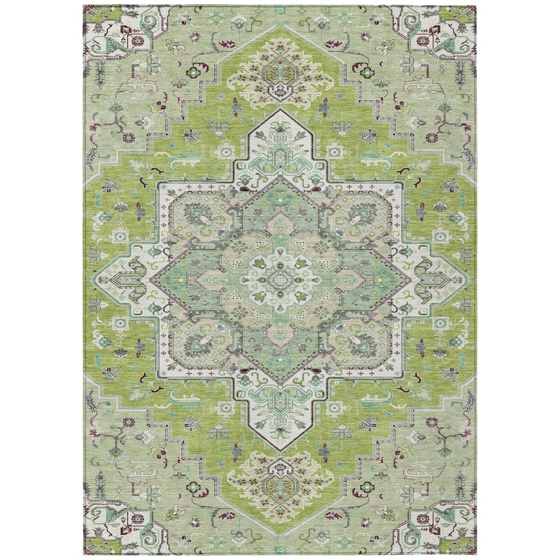 Machine Washable Indoor/ Outdoor Persian Traditional Chantille Rug