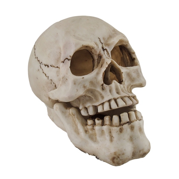 Human Skull Shaped Incense Burner Box - 5.75 X 7.75 X 4.5 inches