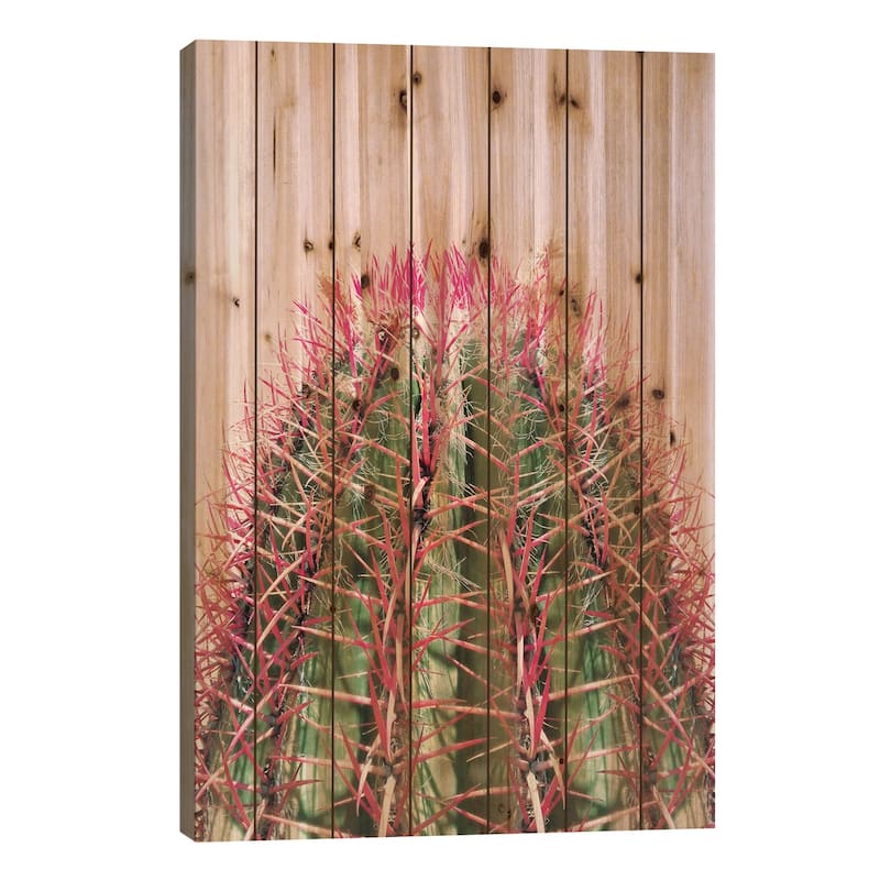Cactus On Pink Print On Wood by Emanuela Carratoni - Multi-Color - 26x18x1.5