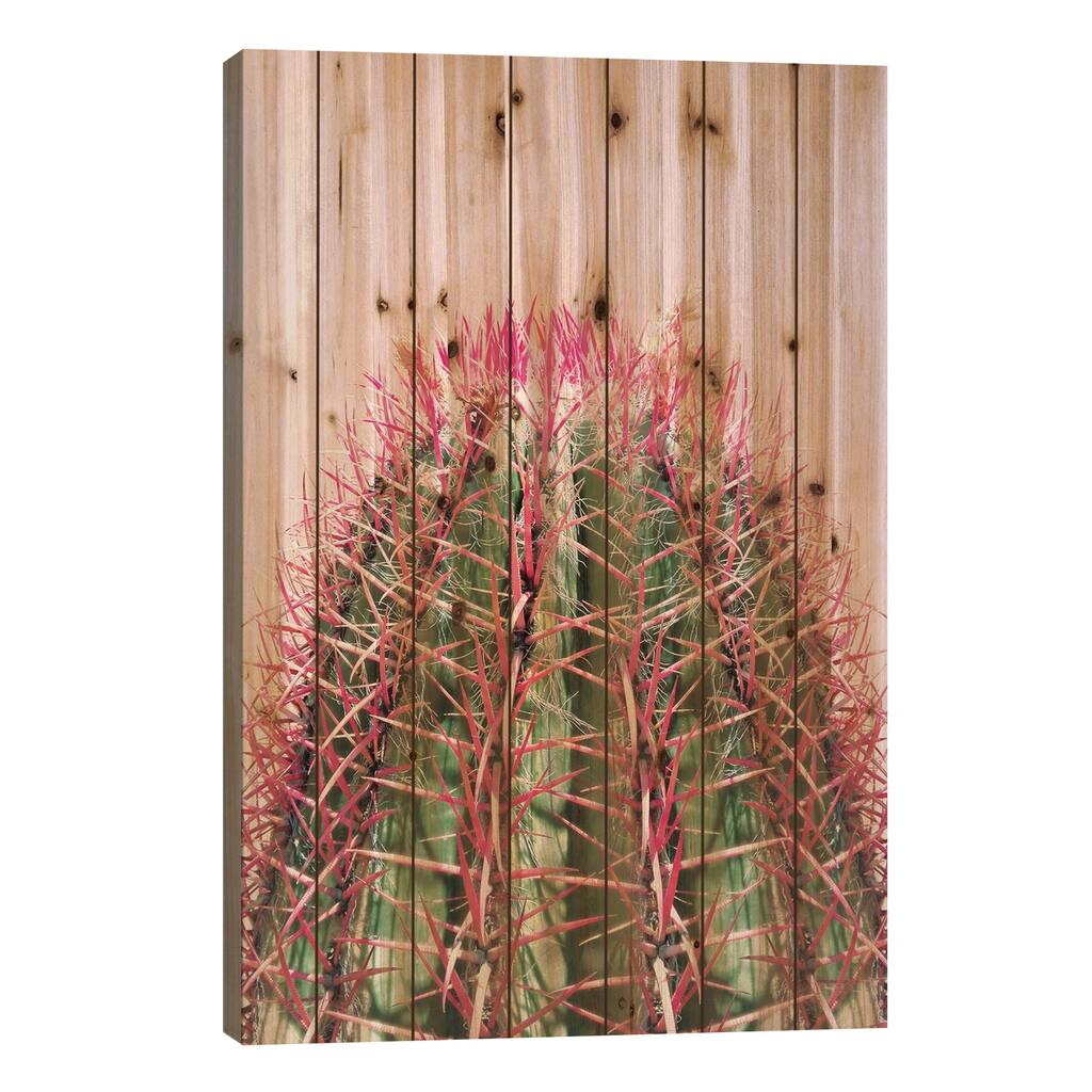 Cactus On Pink Print On Wood by Emanuela Carratoni - Multi-Color