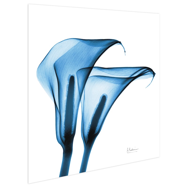 "Indigo Calla Lililes " Frameless Free Floating Tempered Glass Panel Graphic Wall Art