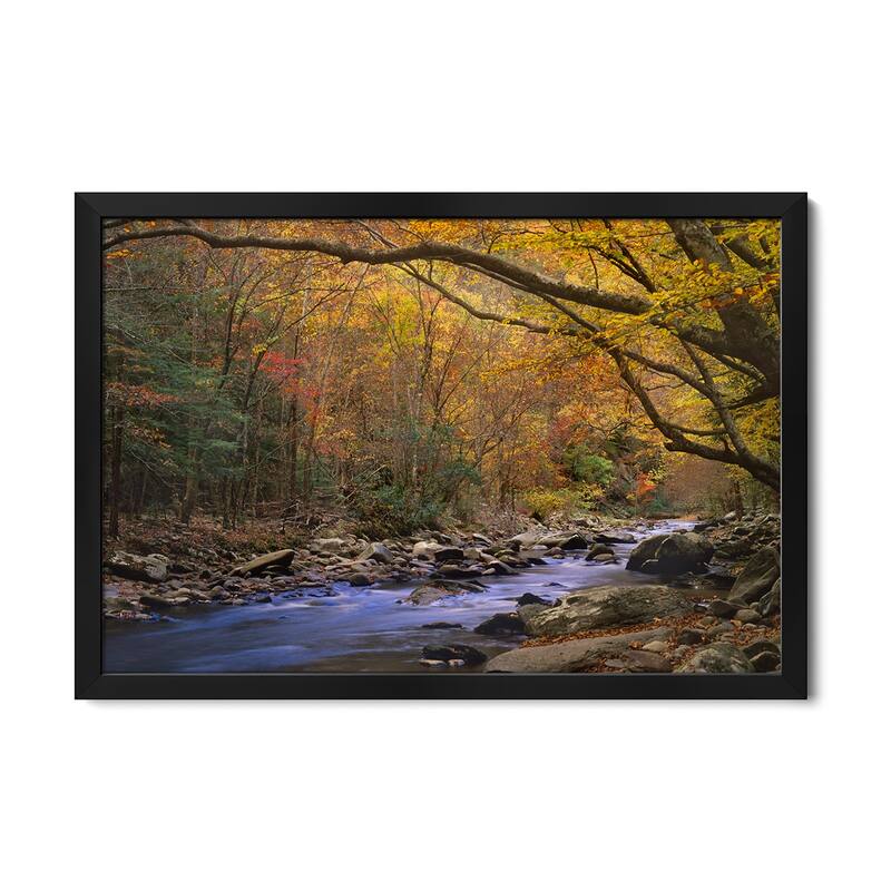 Little River Flowing Through Autumn Forest,Great Smoky Mountains National Park,Tennessee Premium Framed Poster by Tim Fitzharris - Black - 24x16x1