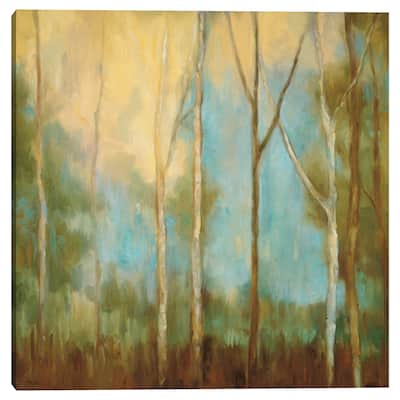 Bare Trees II by Kristy Mitchell Canvas Art Print