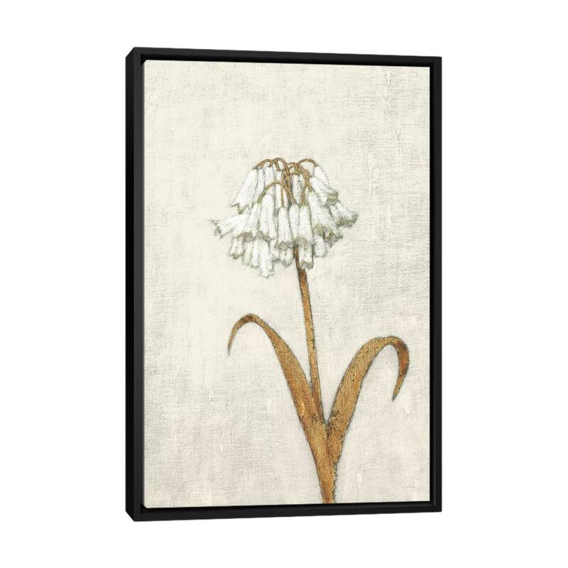 iCanvas "Shimmering Summer II Ivory" by James Wiens Framed Canvas Print - Black - 48x32