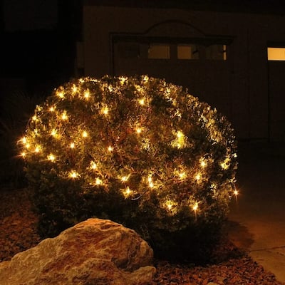 Warm White Net Christmas Lights