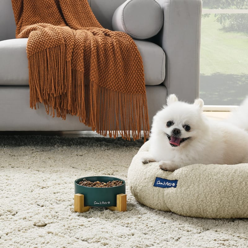 Coco Single Pet Bowl with Wood Stand 5.11'' in Green - 6.3