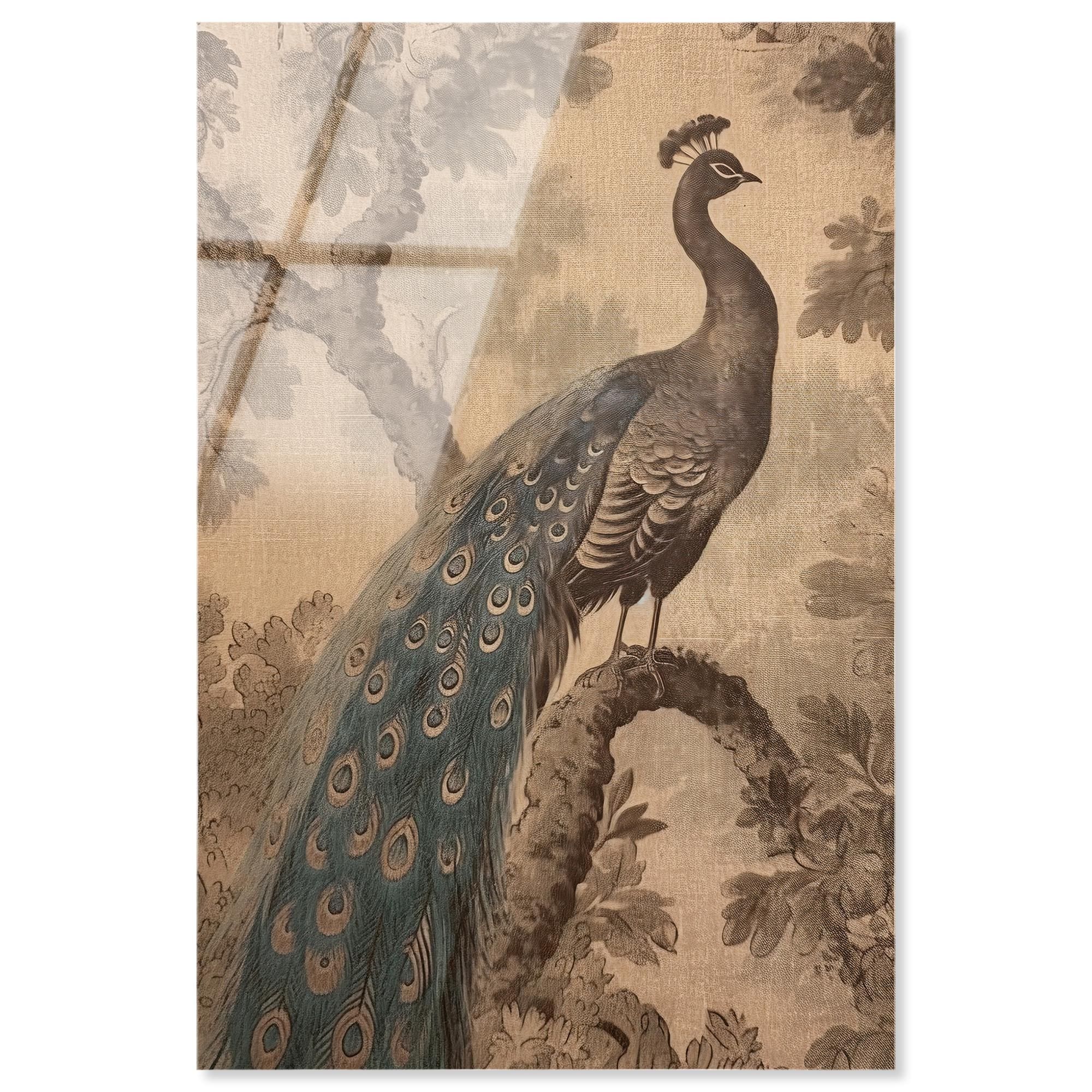 French Peacock Retro Frameless Acrylic Glass Wall Art by Art Remedy
