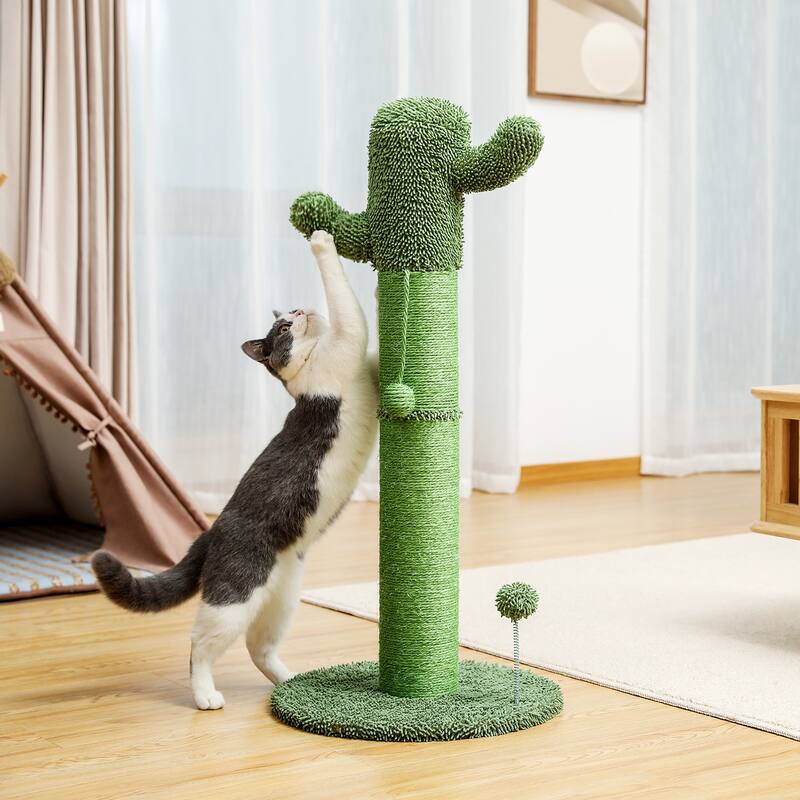 Large Cactus Cat Scratching Post with Natural Sisal Ropes, Cat Scratcher - Green