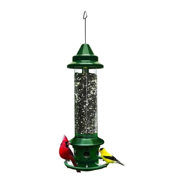 Brome Squirrel Buster Bird Feeder with Cardinal Ring Bed Bath