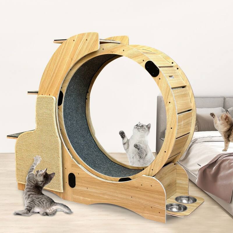 Cat Exercise Wheel With Silent Wheel Wood