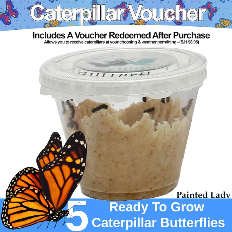 Butterfly Growing Garden Habitat Kit - Large Butterfly Garden and Caterpillar Growing Enclosure for Kids