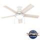 preview thumbnail 3 of 23, Hunter 44" Aren Low Profile Ceiling Fan with LED Light, Pull Chain