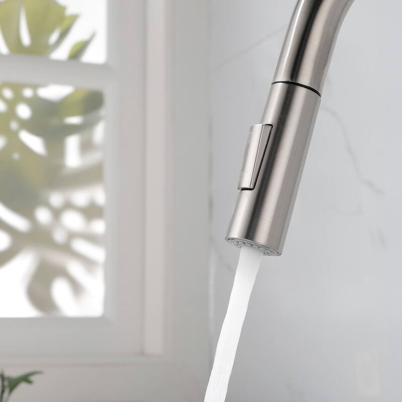 2-Function 1-Handle Pulldown Kitchen Faucet