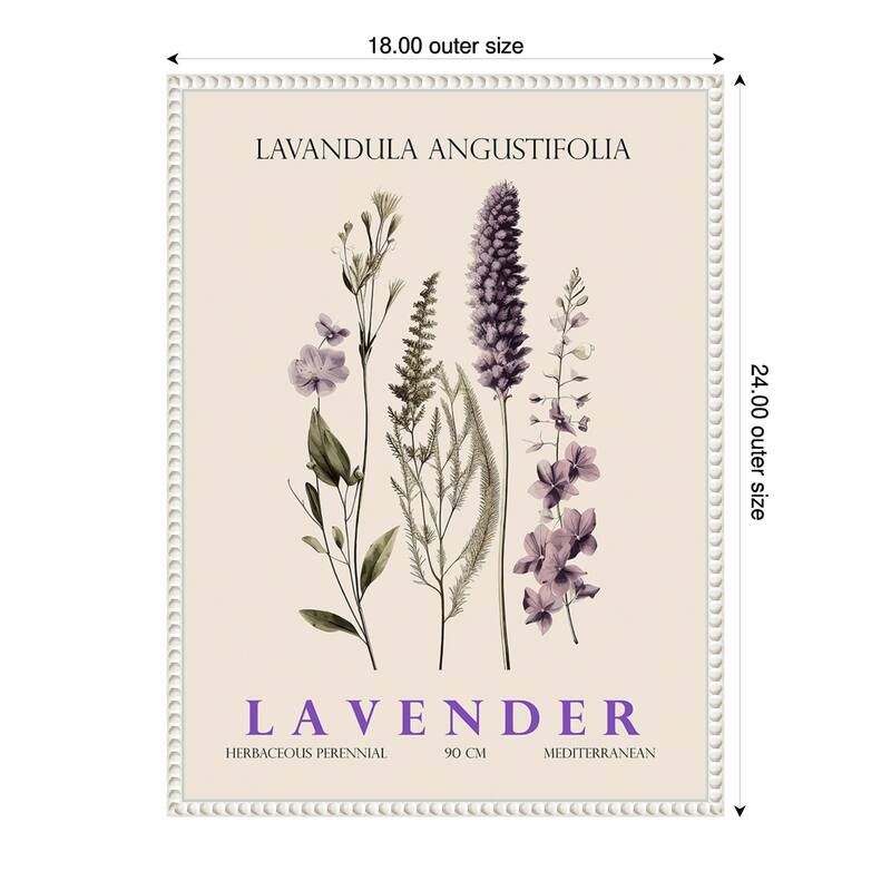 Vintage Botanical Lavender No. 2 Illustration by Christopher Giampietro Framed Canvas Wall Art Print - White - 18 x 24 in
