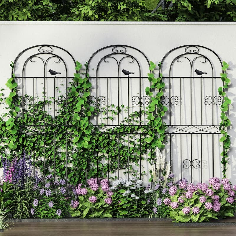 70.8" H x 19.7" W Metal Garden Trellis with Black Coating - 70.8" X 19.6"