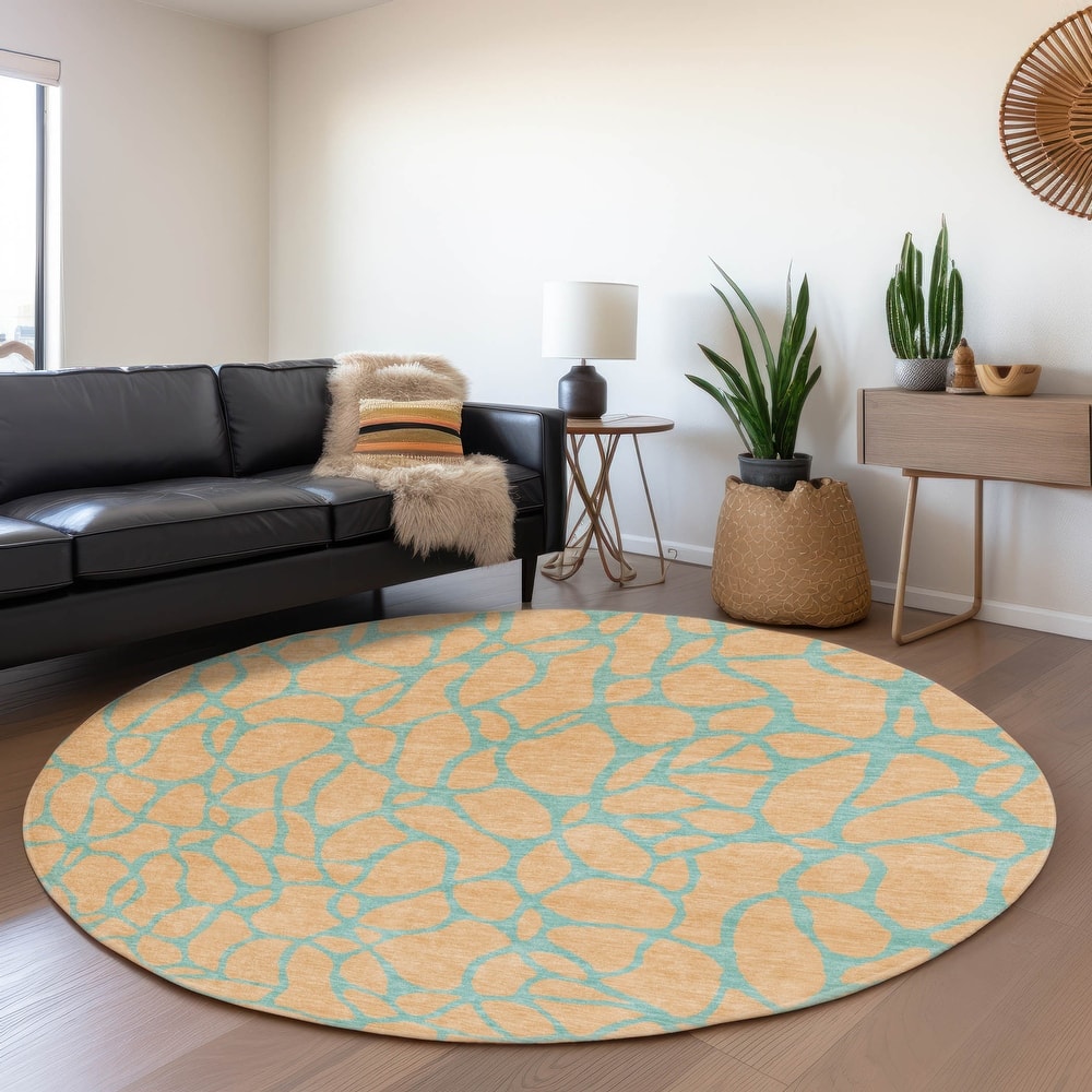 Premium Washable Super Soft Contemporary Macy Mayfield Rug