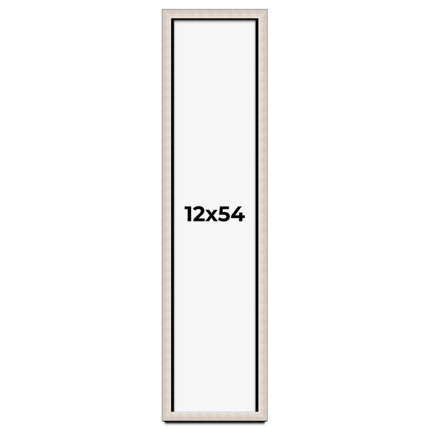 12x54 Shadow Box Frame Silver Real Wood Contemporary Shadowbox Display Frame UV Acrylic Front Acid Free Backing and Hardware